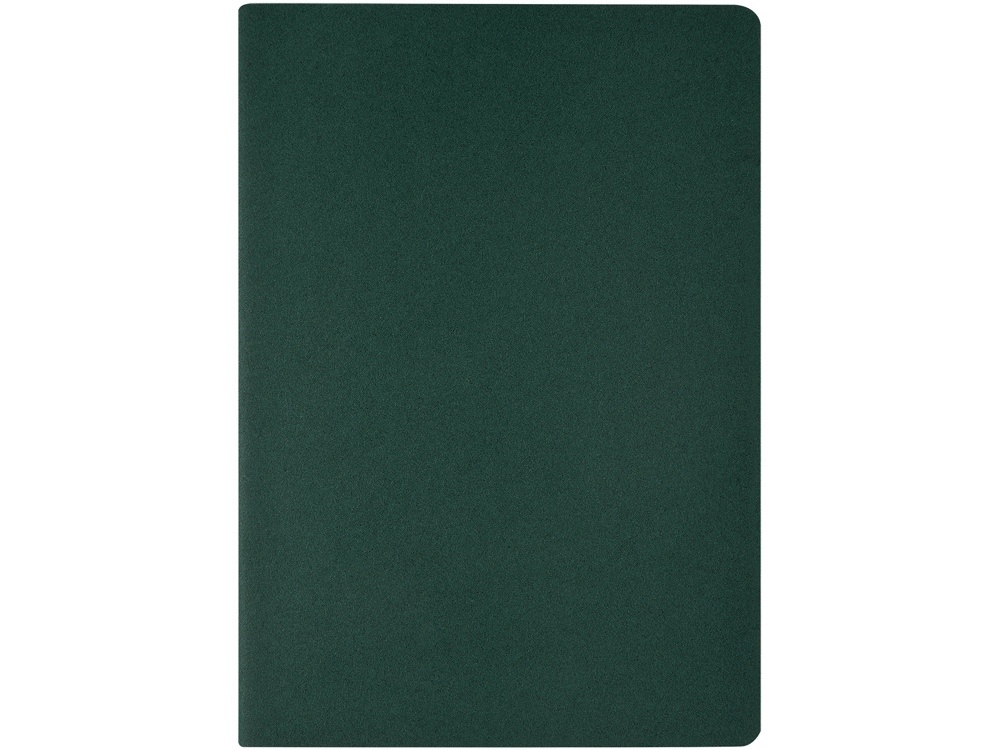 Бизнес-тетрадь А4 Pragmatic