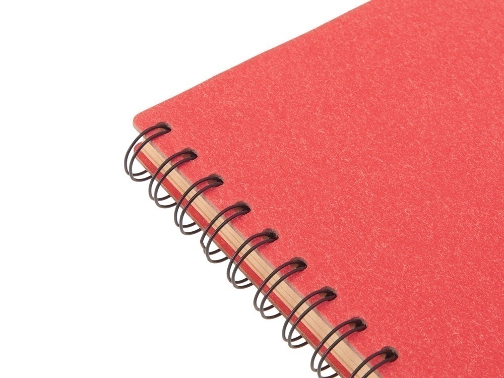 Блокнот А5 на спирали Mania