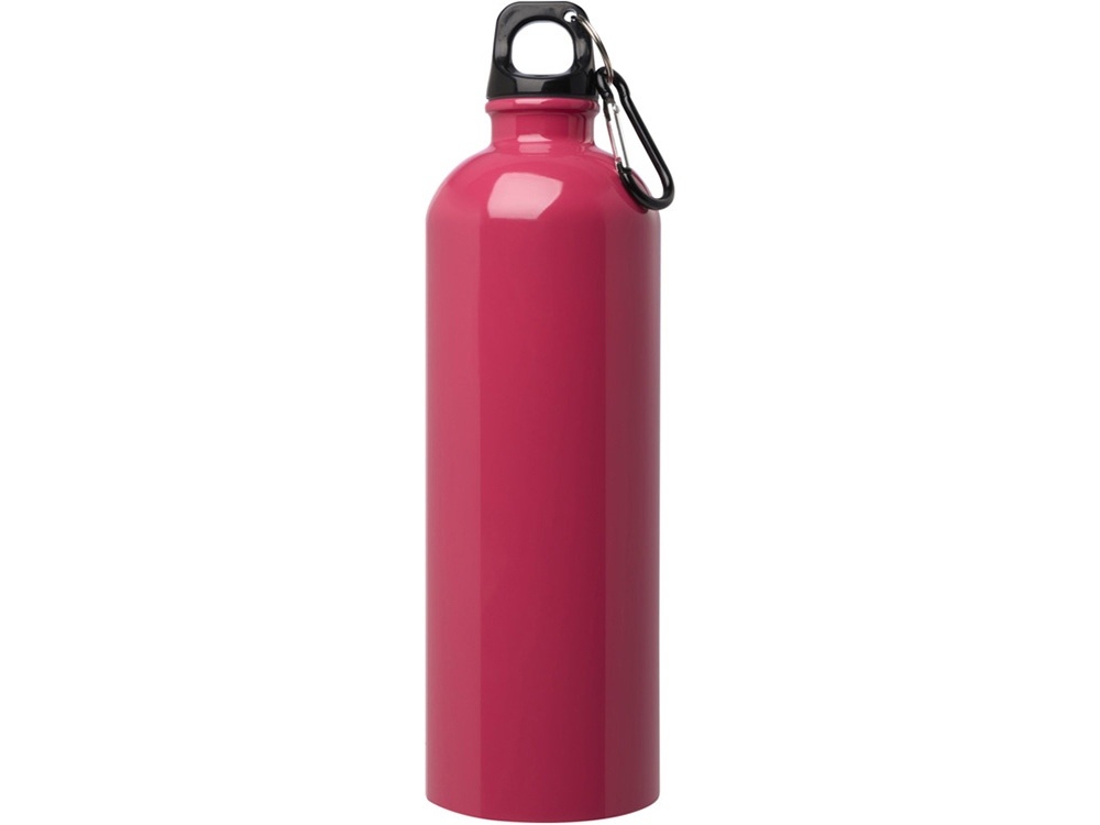 Одностенная бутылка для воды с карабином Oregon, 750 мл
