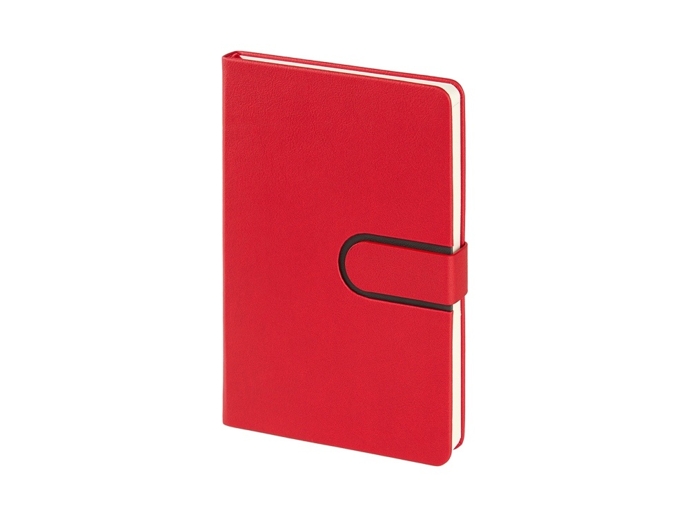 Ежедневник недатированный А5 Status