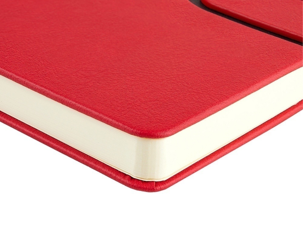 Ежедневник недатированный А5 Status