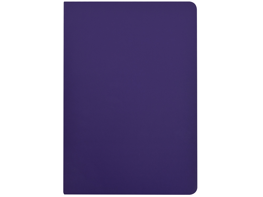 Бизнес-тетрадь А5 Pragmatic Contrast