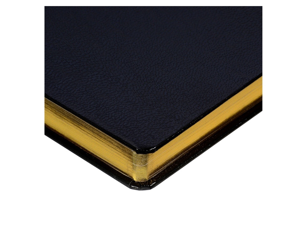 Ежедневник недатированный А6 Megapolis