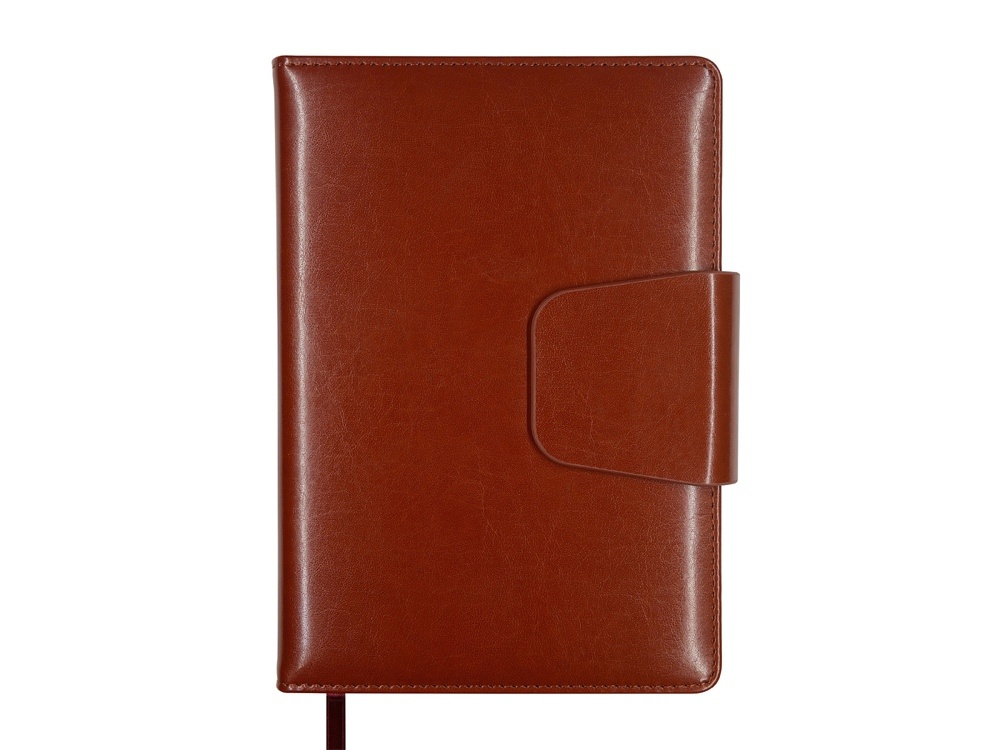 Ежедневник недатированный А5 Prestige