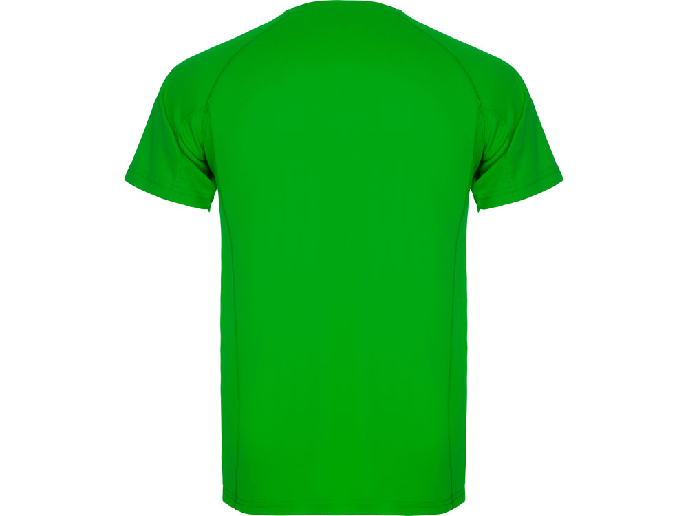 Спортивная футболка Montecarlo мужская