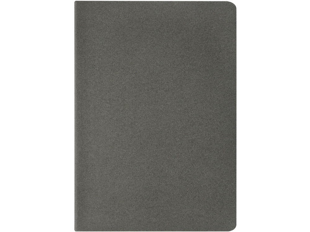 Бизнес тетрадь А5 Pragmatic