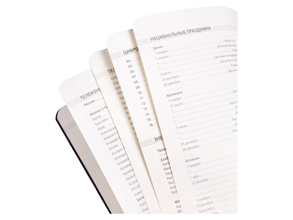 Ежедневник недатированный А5 Megapolis Flex