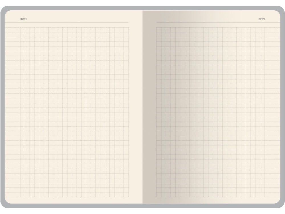 Бизнес тетрадь А5 Pragmatic