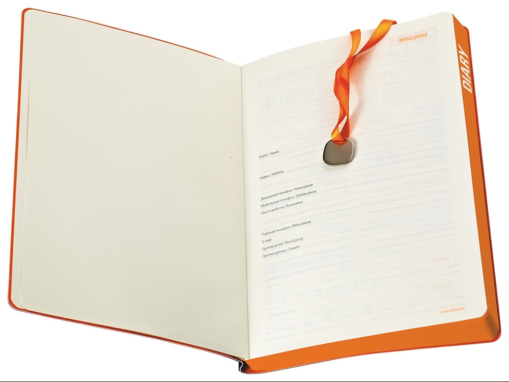 Ежедневник недатированный А5 Mercury