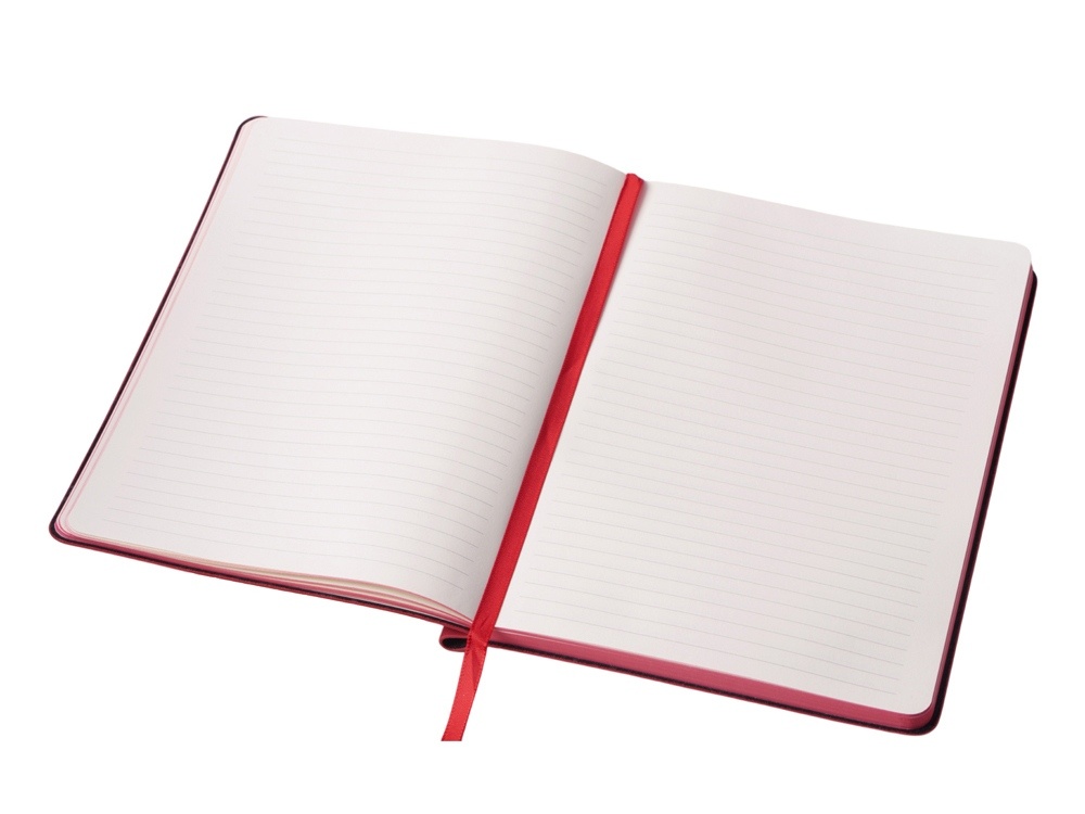 Блокнот в гибкой обложке А5 Notepeno Max