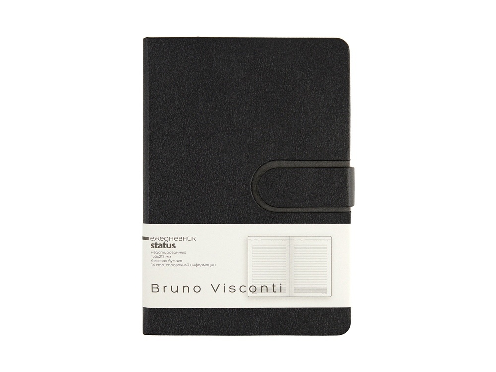 Ежедневник недатированный А5 Status