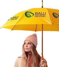 картинка Зонты