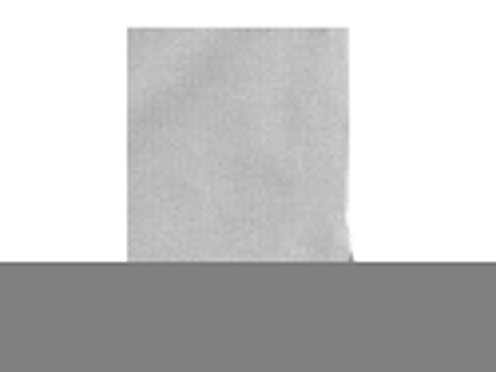 Рубашка поло Oakville мужская с длинным рукавом