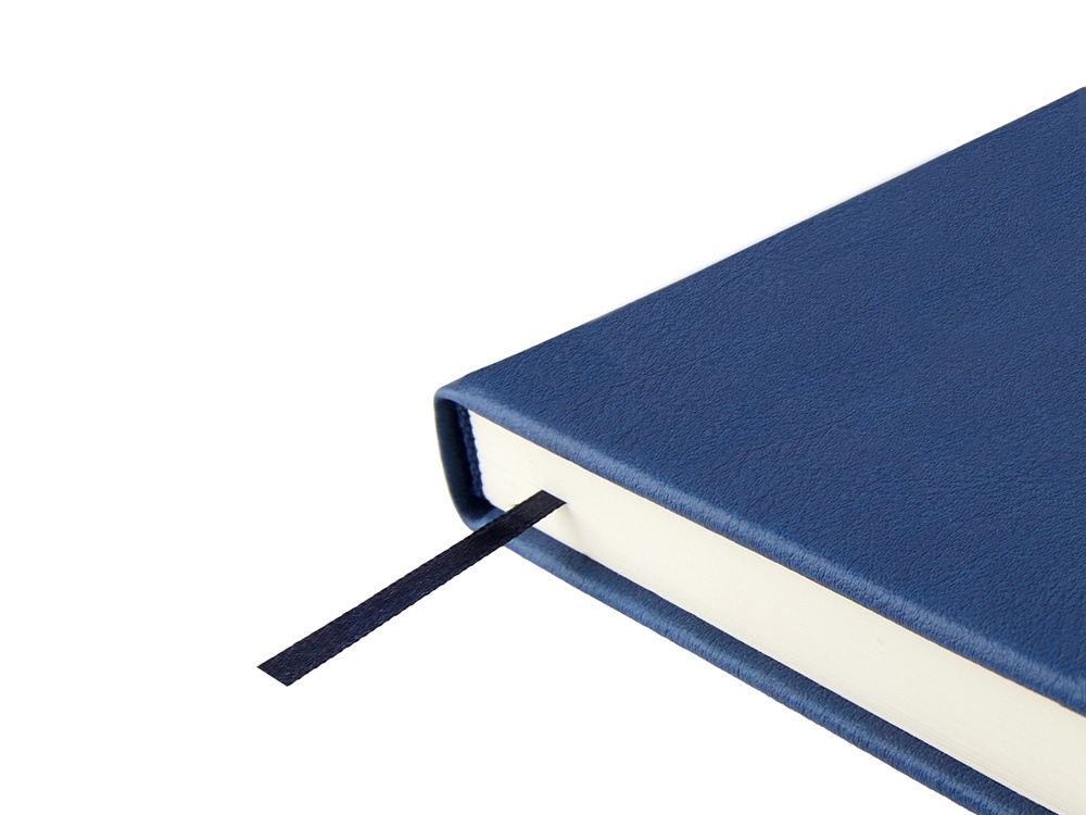 Ежедневник недатированный А5 Status