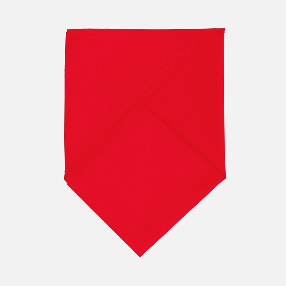 Шейный платок Bandana