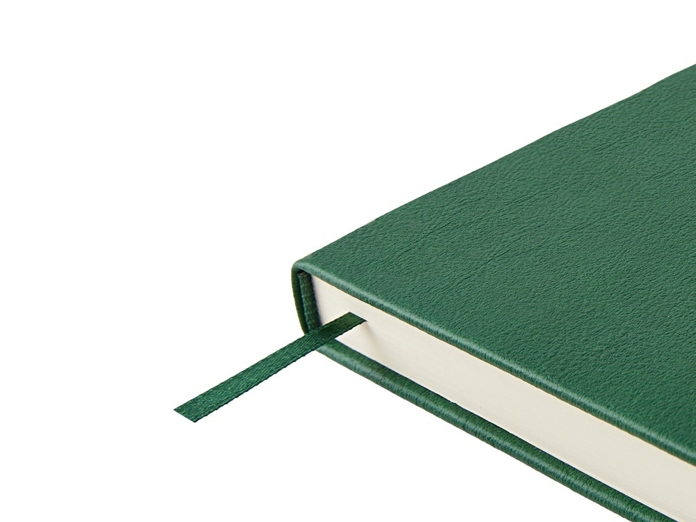 Ежедневник недатированный А5 Status