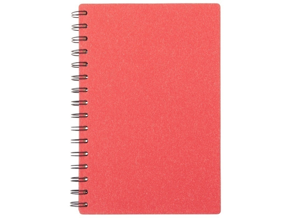 Блокнот А5 на спирали Mania