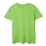 зеленое яблоко