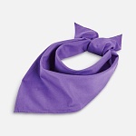 фиолетовый